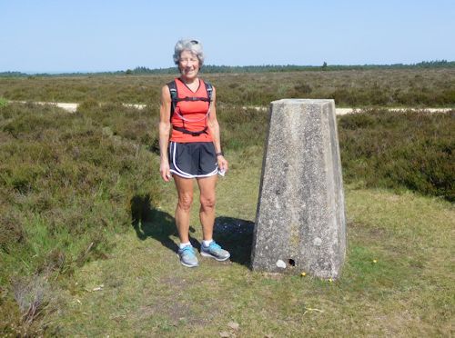 2020 trig